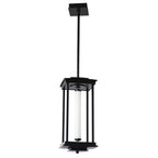 Athena 1-Light Medium LED Lantern LED Clear Glass (ZM) in Black