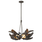 Corona Brass Accent Pendant 6-Light Brass Clear Glass with Frosted Diffuser (YE) in Dark Smoke
