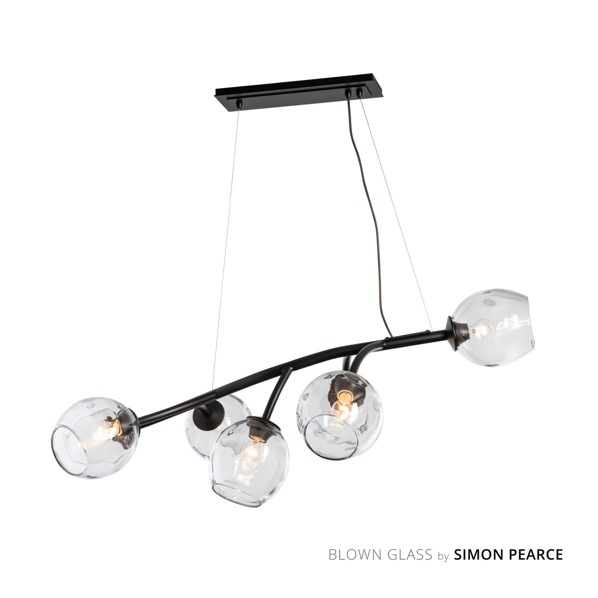 Vine Pendant 7-Light Clear Glass (ZM) in Black