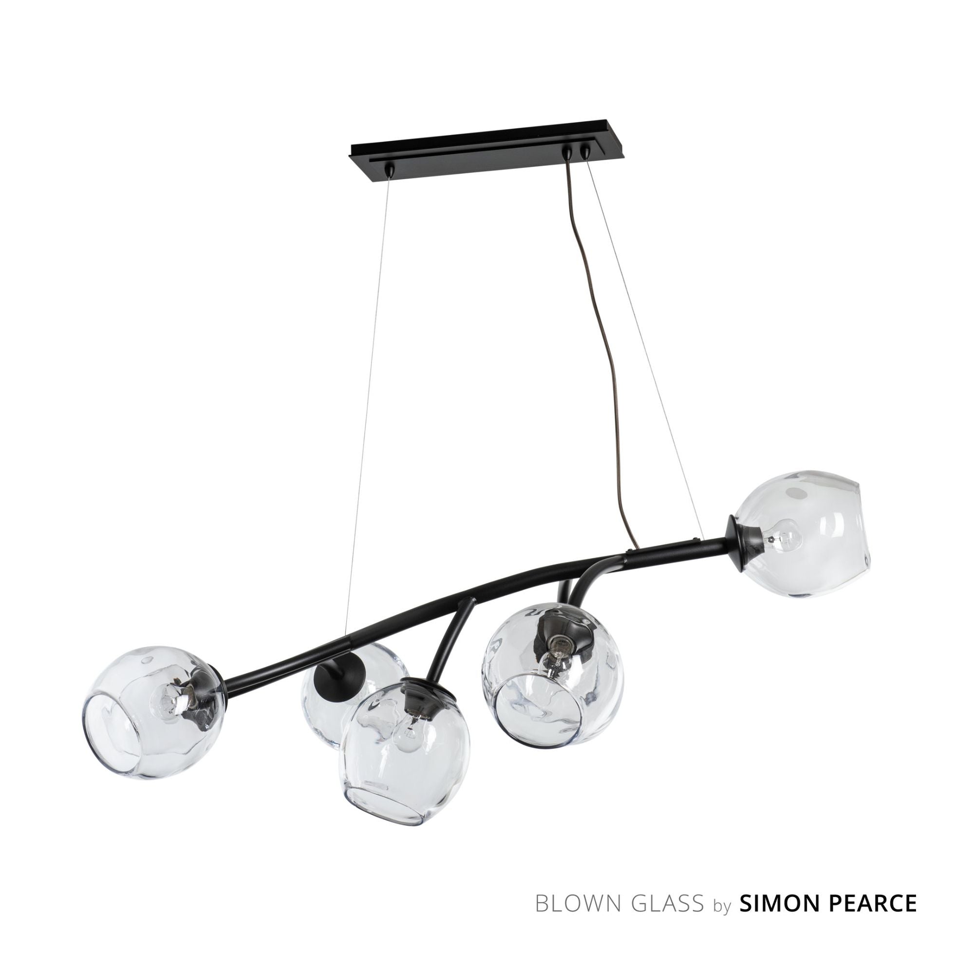 Vine Pendant 7-Light Clear Glass (ZM) in Black