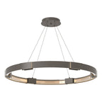 Aura Large LED Pendant 12-Light Clear Glass (ZM) in Dark Smoke