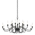 Lisse 20 Arm Chandelier 20-Light in Black