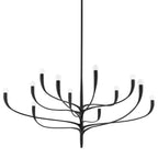Labra 12-Light Chandelier in Aged Iron 52.25L x 52.25W x 26.5H