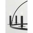 Howell 20-Light Chandelier in Aged Iron 47L x 47W x 42.25H