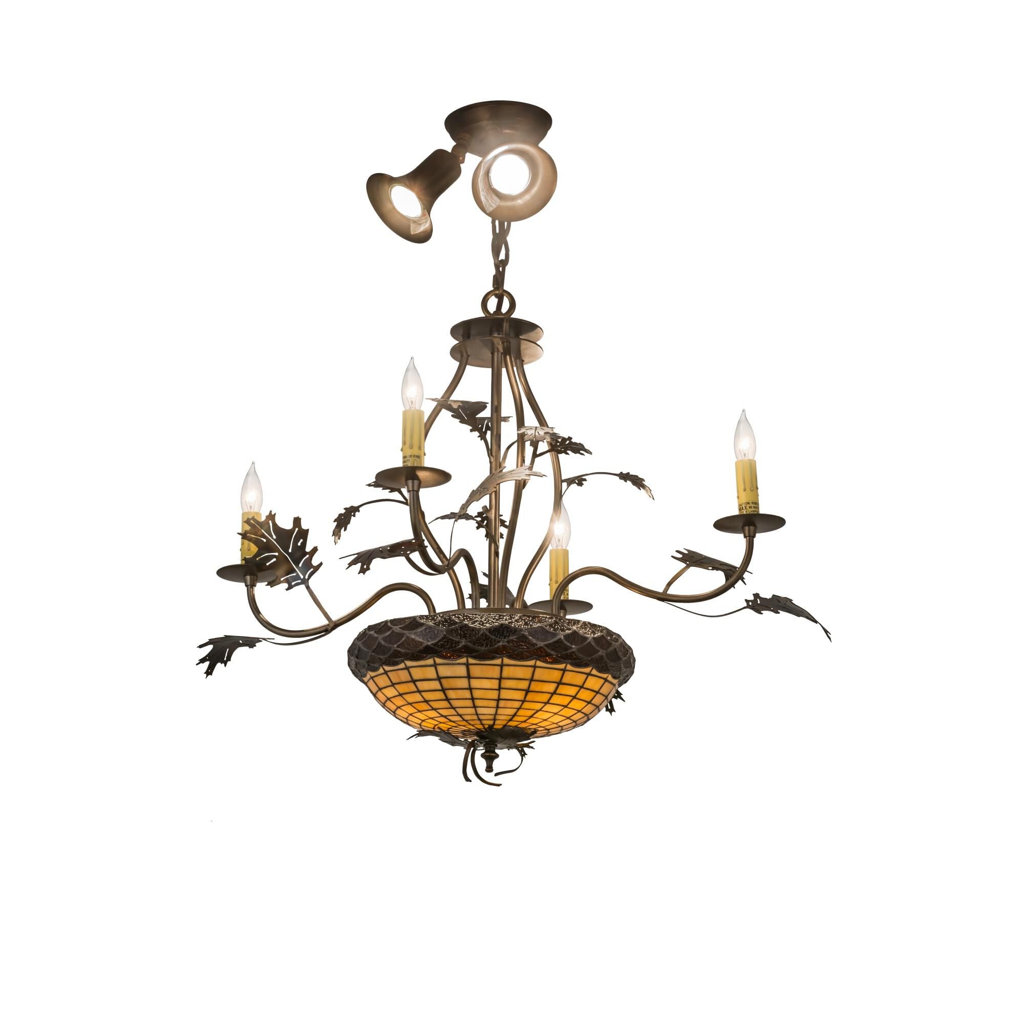 30 Inch 2 Light Chandelier