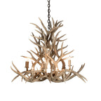 38 Inch 8 Light Chandelier