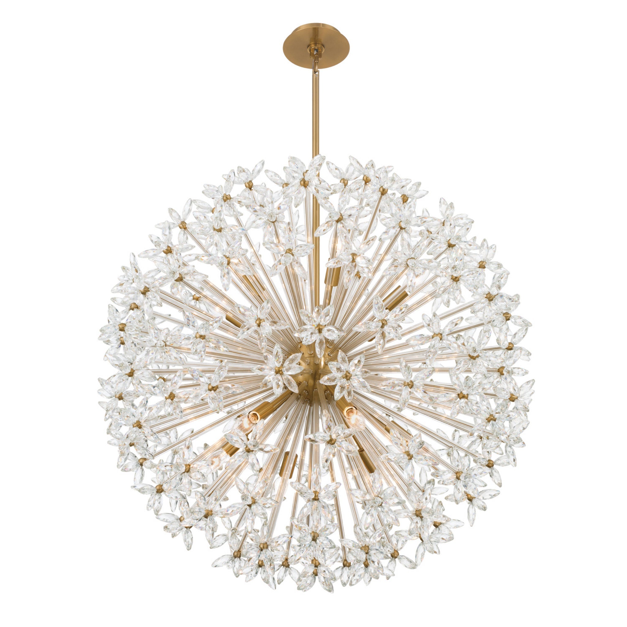 Adley 34'' Aged Brass Chandelier Gold 34"W x 33.75"H x 34"D