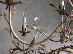 Aurelia Crystal Grand Chandelier