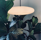 Aurelia Dual-Dish Pendant Light