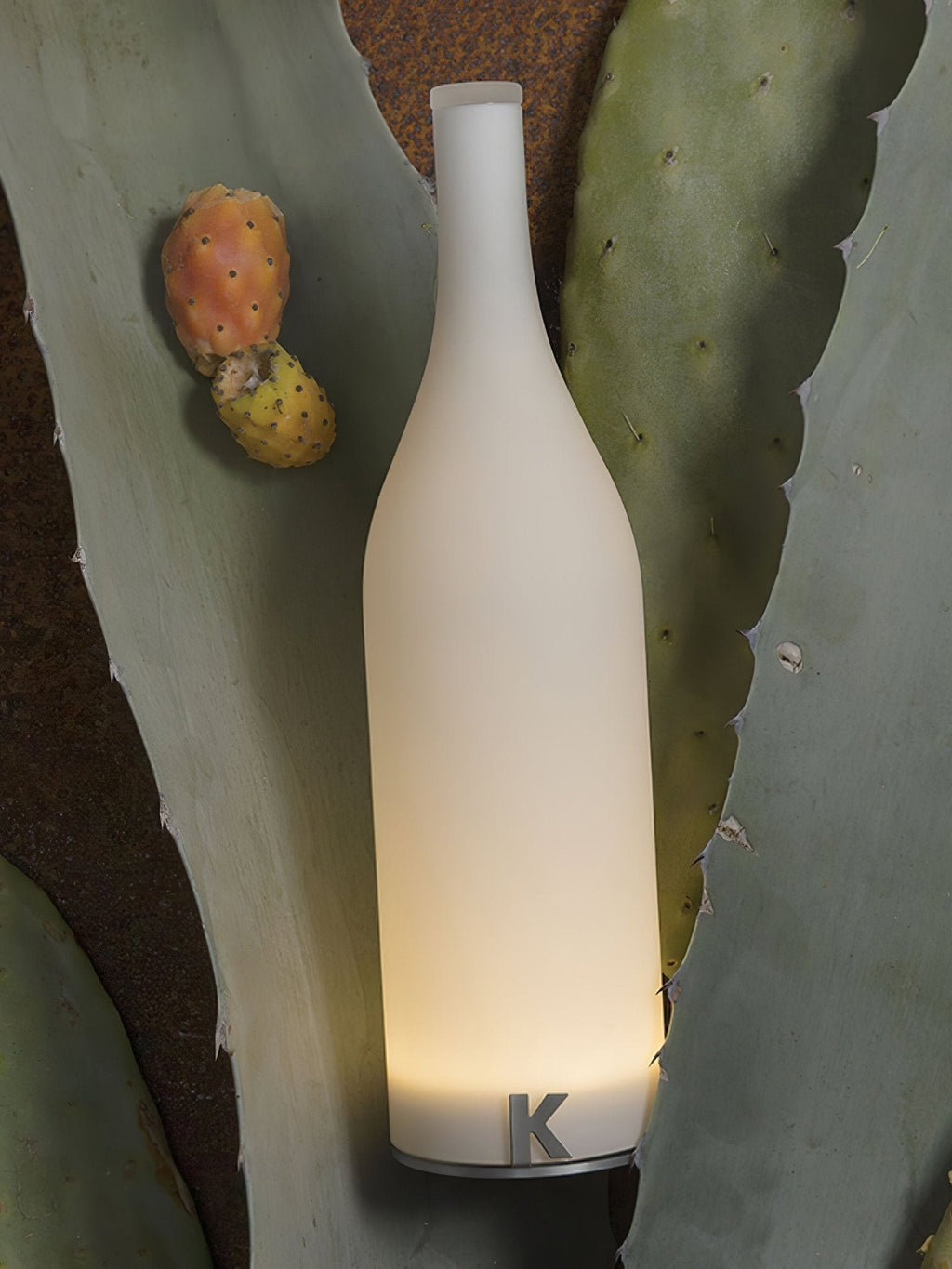 Baccaro Rechargeable Table Lamp
