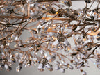 Bellafiora Crystal Vine Oval Chandelier