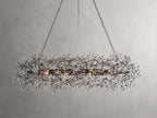 Bellafiora Crystal Vine Oval Chandelier