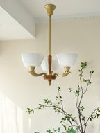 Haverton Lantern Style Chandelier