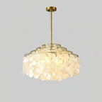 Lumare Shell Cascade Chandelier