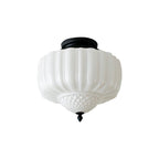 Marlo Glass Dome Ceiling Light