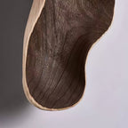 Natura Dual Orb Wooden Wall Sconce