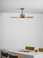 Stellara Modern Ceiling Fan Light