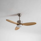 Stellara Modern Ceiling Fan Light