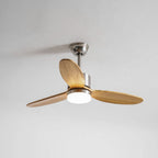 Stellara Modern Ceiling Fan Light