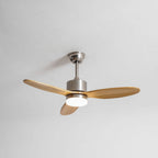 Stellara Modern Ceiling Fan Light
